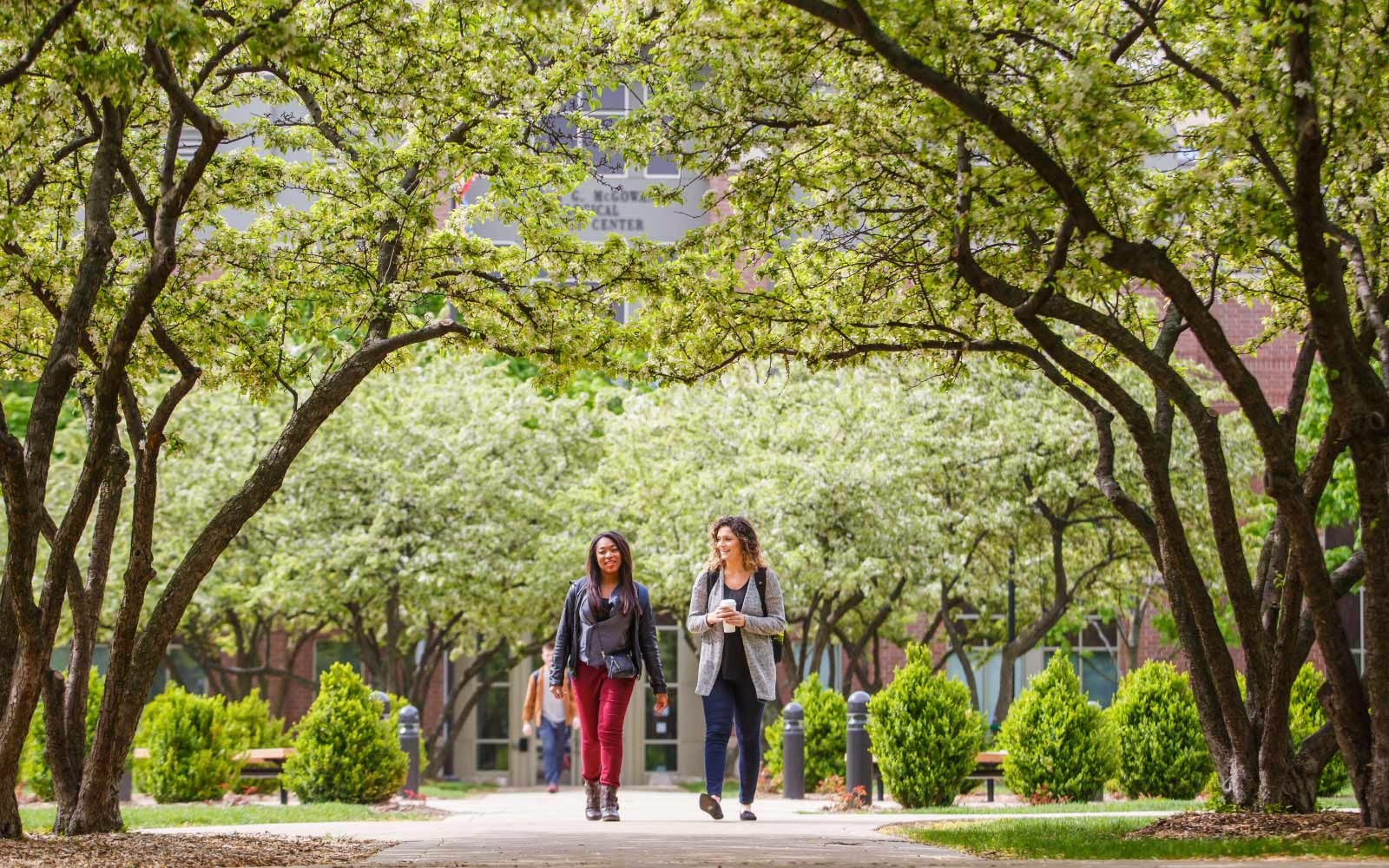 Students walking in the Lincoln Park campus.