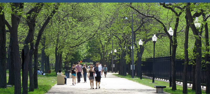 Students walking at the Lincoln Park campus.